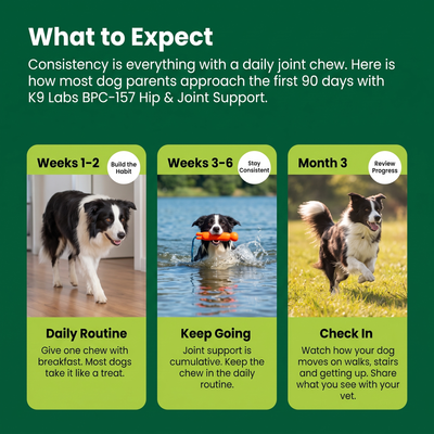 BPC Hip & Joint Regenerative Support Cold-Pressed Chews