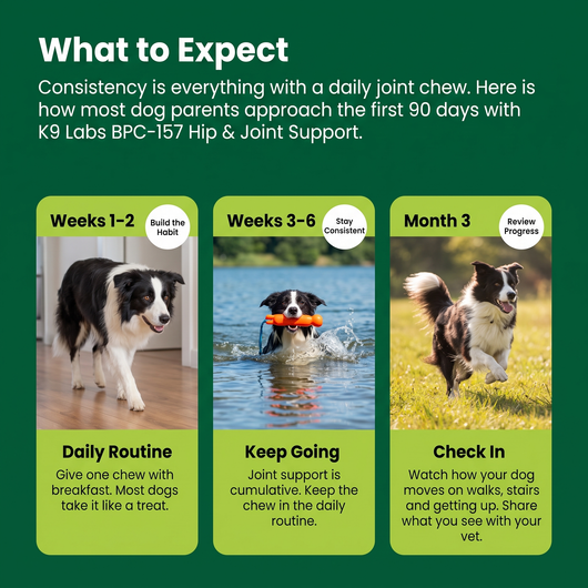 BPC Hip & Joint Regenerative Support Cold-Pressed Chews